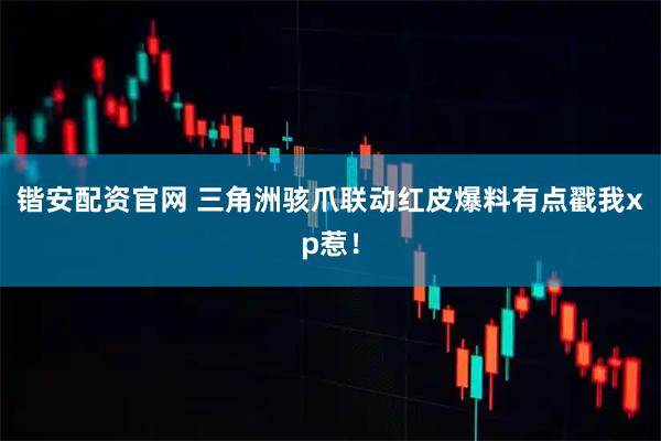 锴安配资官网 三角洲骇爪联动红皮爆料有点戳我xp惹！