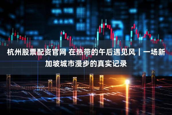 杭州股票配资官网 在热带的午后遇见风｜一场新加坡城市漫步的真实记录