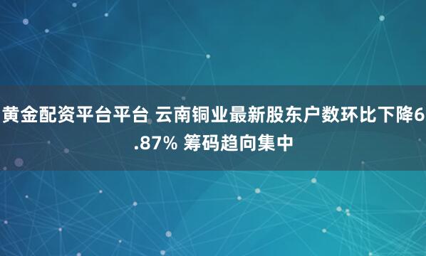 黄金配资平台平台 云南铜业最新股东户数环比下降6.87% 筹码趋向集中