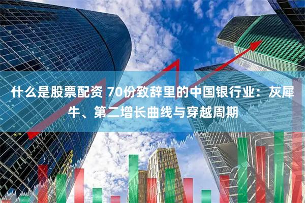 什么是股票配资 70份致辞里的中国银行业：灰犀牛、第二增长曲线与穿越周期