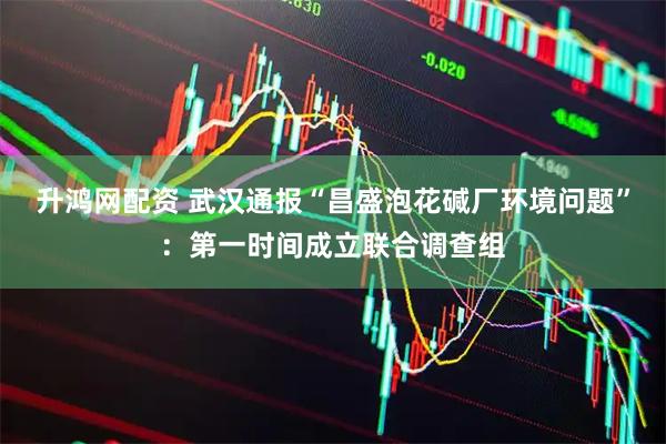升鸿网配资 武汉通报“昌盛泡花碱厂环境问题”:第一时间成立联合调查组